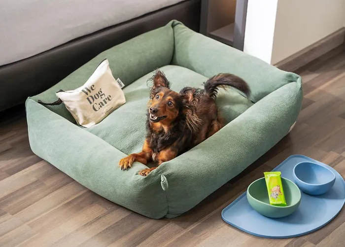 Innside By Melia Mitte Отель