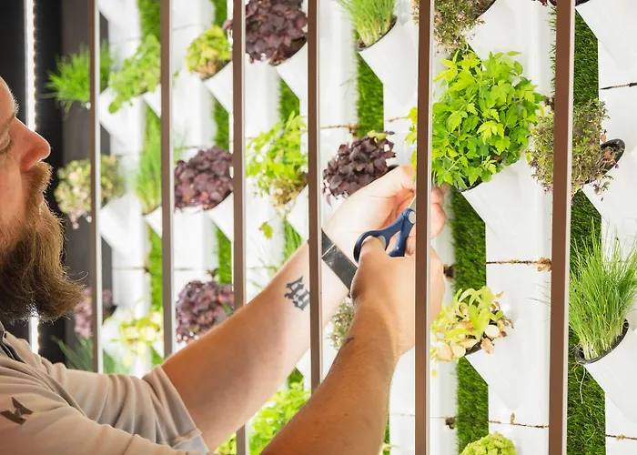 Innside By Meliá Mitte